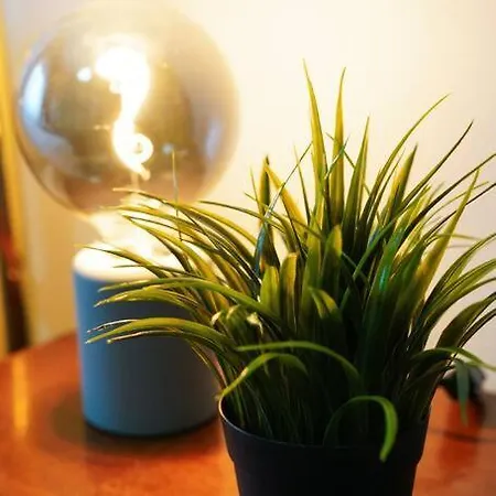 Appartamento Da Bricca A Monteverde Roma