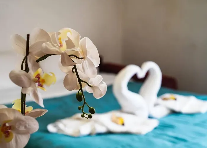 公寓 Da Bricca A Monteverde *